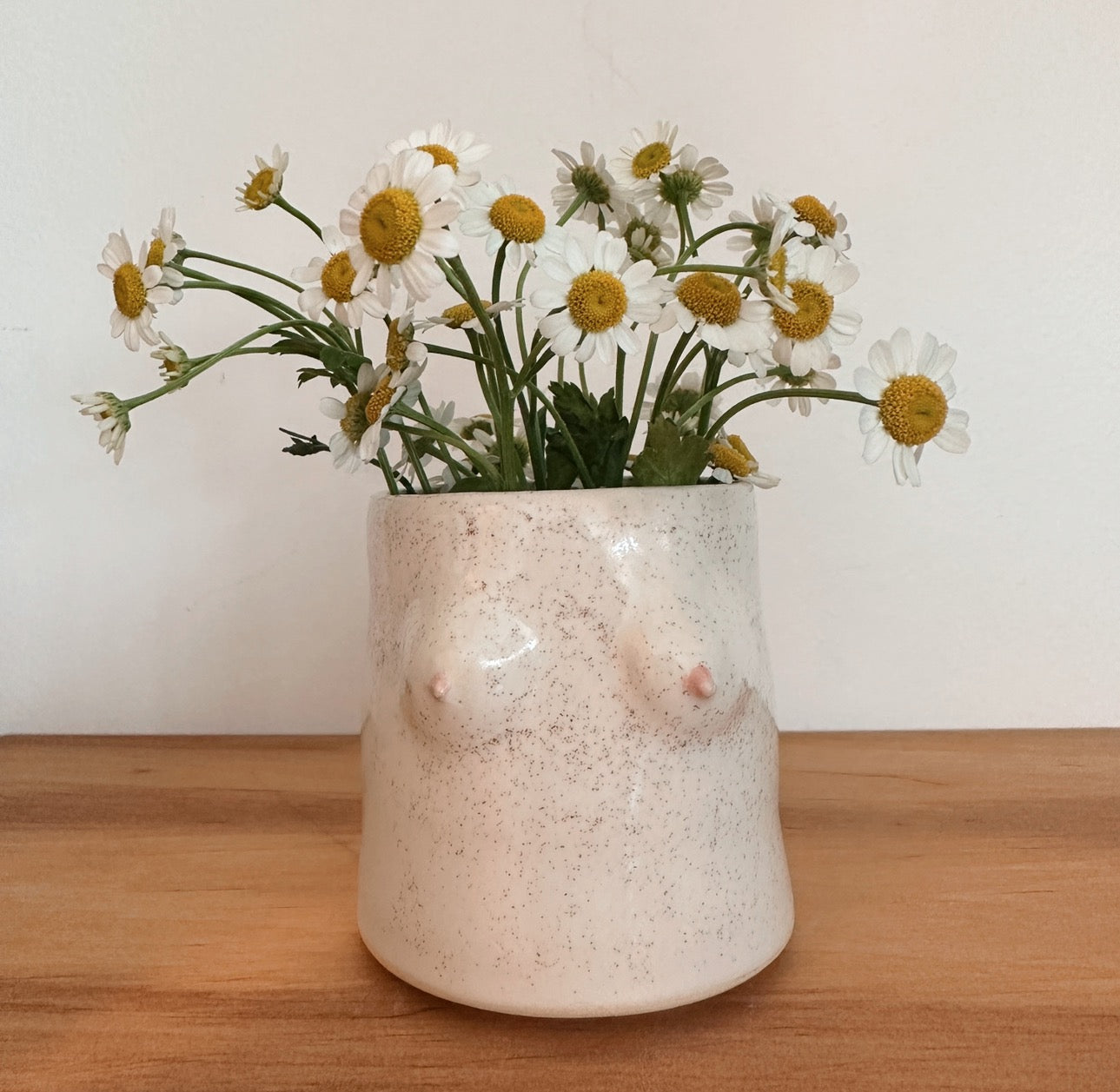The Brooklyn Ceramicist Behind the Insanely Popular Boob Pots - Sight  Unseen